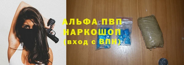 бошки Гусев