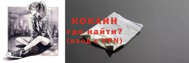 молекула духа Гусиноозёрск