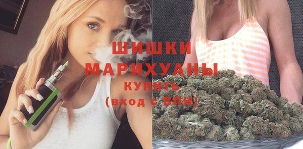 бошки Гусев