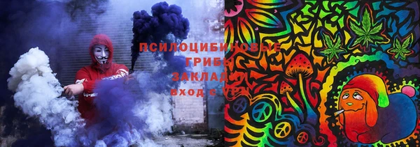 метадон Гусь-Хрустальный