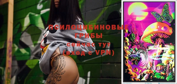 молекула духа Гусиноозёрск