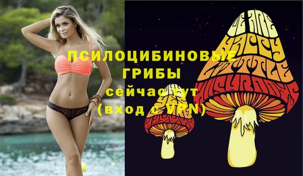 метадон Гусь-Хрустальный