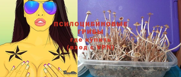 бошки Гусев