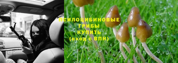 метадон Гусь-Хрустальный